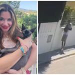 Heartbreaking: Beloved Family Cat Snatched from Home in Marbella - British Owner Pledges €3,000 - collage maker 22 sep 2023 11 52 am 2019 scaled 1 - Environmental and Conservation Efforts -