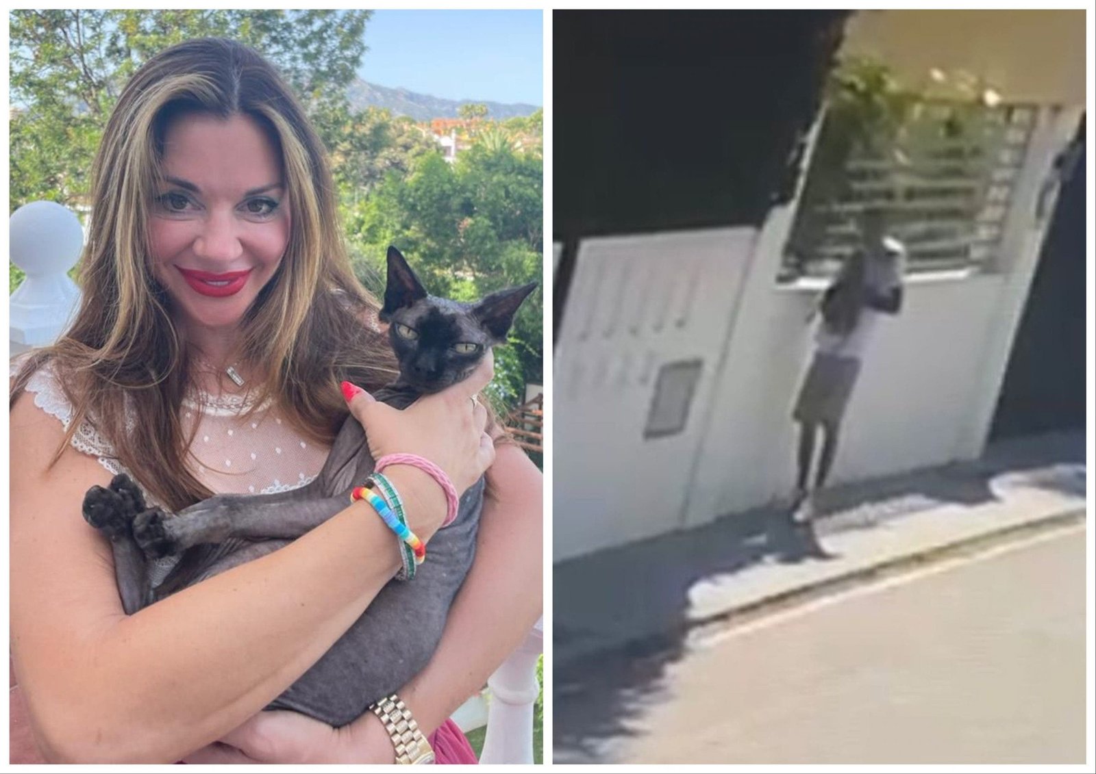 Heartbreaking: Beloved Family Cat Snatched from Home in Marbella - British Owner Pledges €3,000 - collage maker 22 sep 2023 11 52 am 2019 scaled 1 - Marbella News Crime -