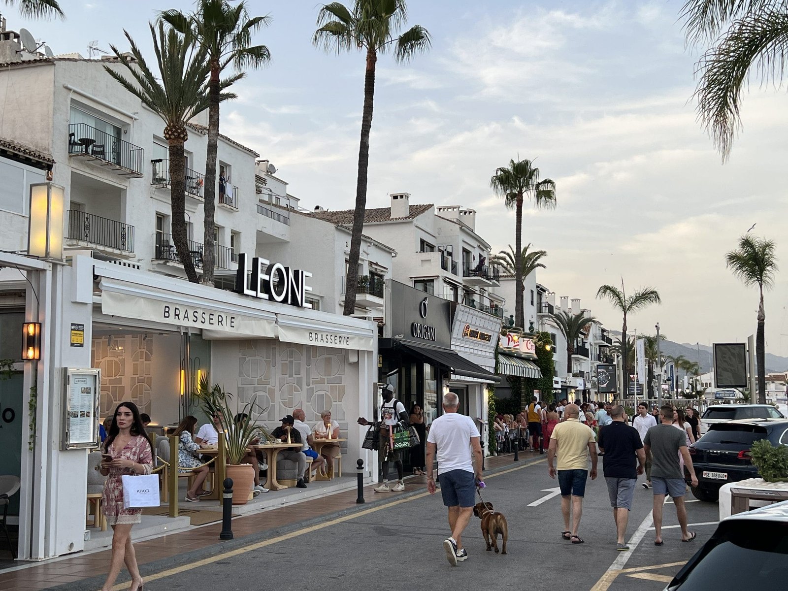 Unleashed: Leone's Unstoppable Roar Dominates Puerto Banus, Spain's Hidden Gem on the Costa del - leone5 1 scaled 1 - Local Events and Festivities -