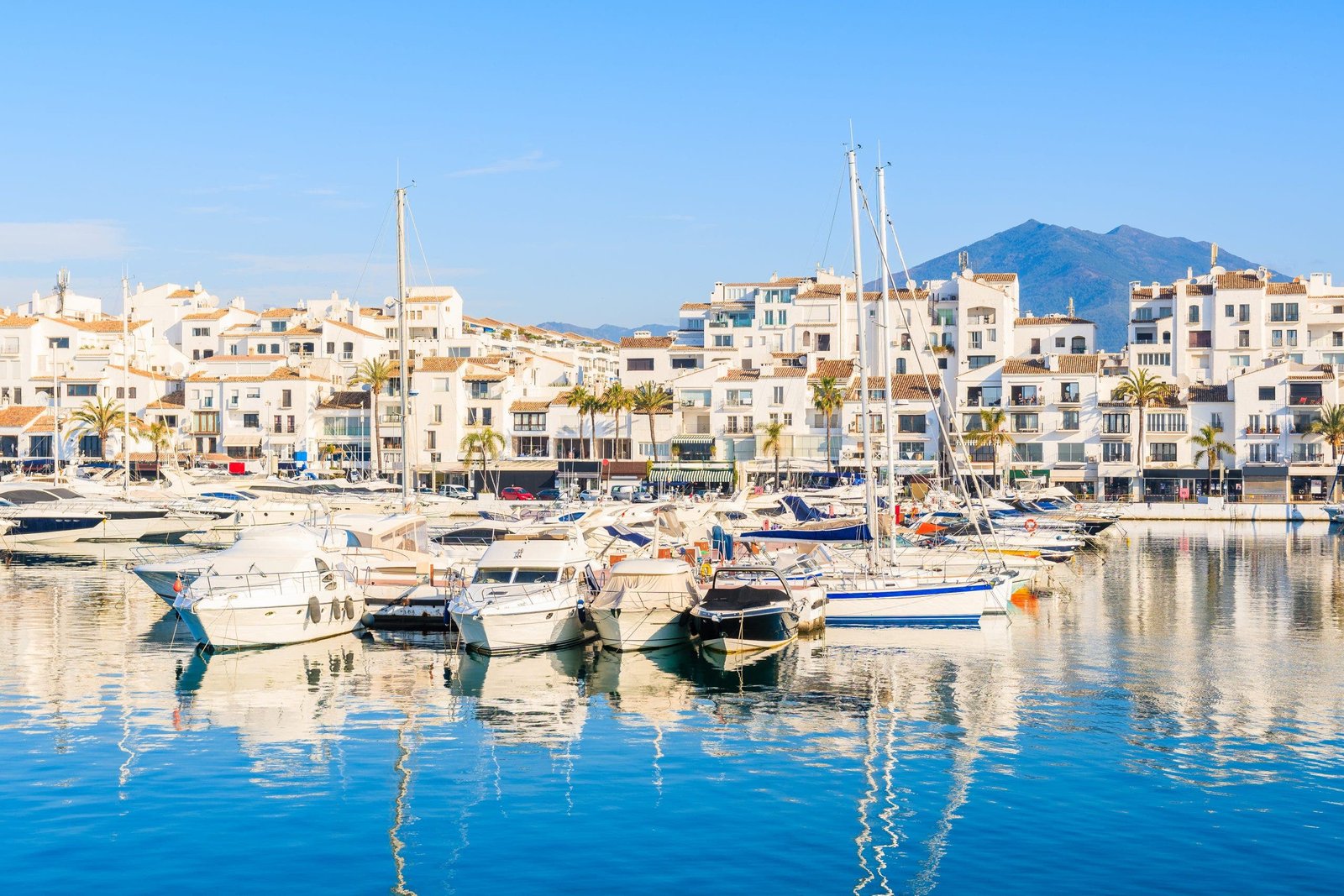 Revolutionary Marine Biodiversity Regeneration System Makes Its Debut in Andalucia's Puerto Banus! - marbella adobestock 210469790 scaled 2 - Environmental and Conservation Efforts -