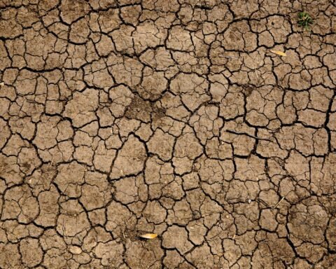 Drought in Marbella
