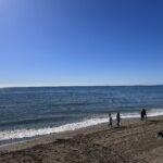 Spain's Costa del Sol Overflows with Sun Seekers and Swimmers as Mercury Soars above 20C - img 6034 scaled 1 - Real Estate and Urban Development -