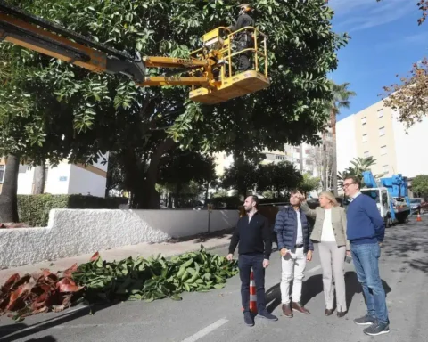 No cutbacks to Marbella's annual tree pruning plan