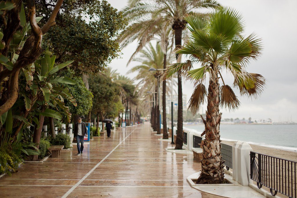 Rain in Marbella