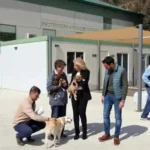 "Marbella Town Hall Unveils Spectacular Safe Haven for 600 Abandoned Animals!" - 188981409 562x393 1 - Local Events and Festivities -