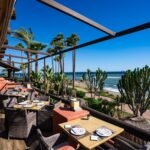 Top Cozy Eateries in Marbella and Nearby Areas! - als04356 scaled 1 - Local Events and Festivities -