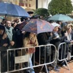Nine Days of Rainfall Unleashes Over 115 Liters in Marbella, Providing Much-Needed Relief - mini1 1712012310 - Real Estate and Urban Development - Luxury Villa in Marbella