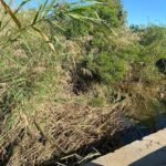 "PSOE Urges City Hall to Clean Up the Guadaiza River in San Pedro: A Plea for Environmental Rev - mini1 1712943033 - Local Events and Festivities -