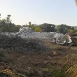 Antonio Banderas demolishes Marbella villa and applies for permission to rebuild