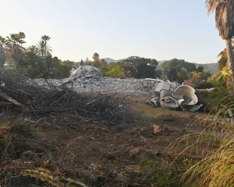 Antonio Banderas demolishes Marbella villa and applies for permission to rebuild