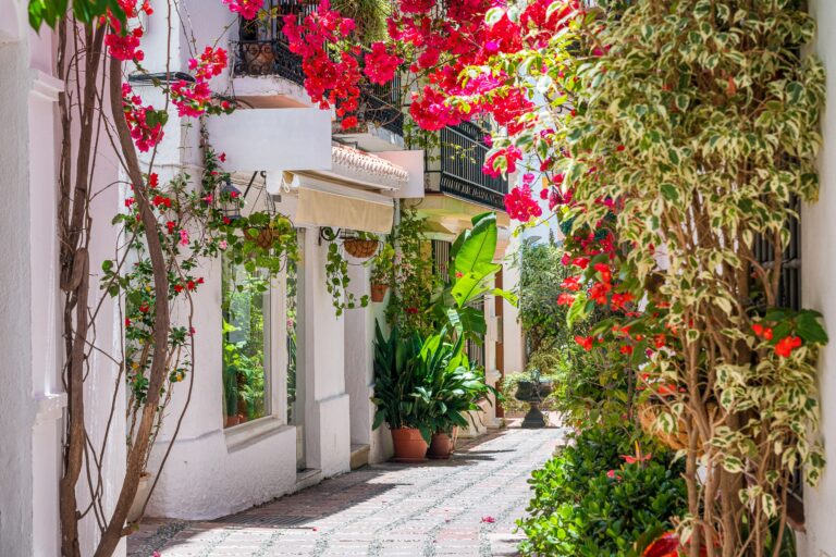Featured image for Elevate Your Marbella Home with Stylish Shopping Beyond Fashion
