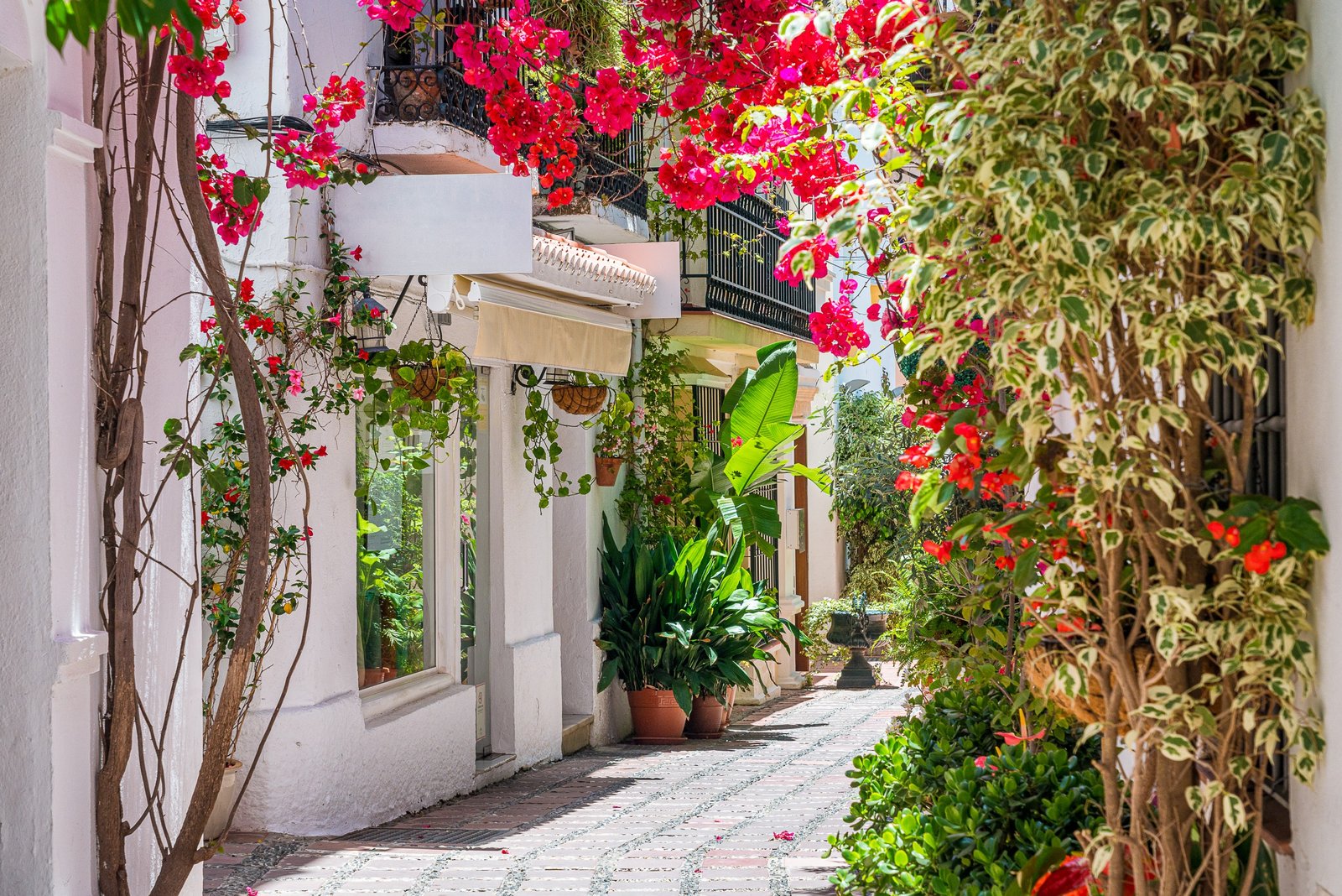 Elevate Your Marbella Home with Stylish Shopping Beyond Fashion - marbella old town scaled 1 - Tourism -