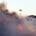 Photo special: Forest fire in Nagüeles area of Marbella declared stabilised