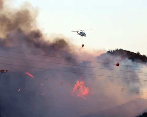 Photo special: Forest fire in Nagüeles area of Marbella declared stabilised