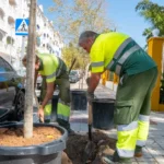 Discover the Green Revolution: Costa del Sol Town Set to Welcome Over 100 New Trees! - arbolado sanpedro U70447080642mPJ 1200x840@Diario20Sur - 112 incident -