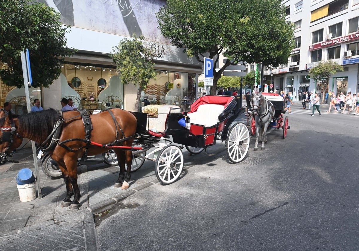 Marbella's Bold Move: Unveiling Revolutionary Guidelines for Horse-Drawn Carriages to Uplift Animal Welfare - COCHE CABALLOS marbella U84328180062DoE - Animal welfare -