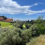 Exclusive: Marbella's Prized Municipal Land in Las Chapas Hits Auction Block at a Staggering 2. - ARTOLAparcelaMarbella U27141123078bjz 1200x840@Diario20Sur - Sports and Recreation - Marino Villar