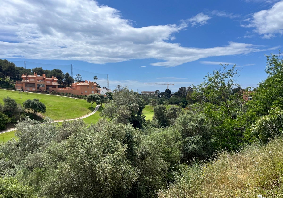 Exclusive: Marbella's Prized Municipal Land in Las Chapas Hits Auction Block at a Staggering 2. - ARTOLAparcelaMarbella U27141123078bjz - Property development -